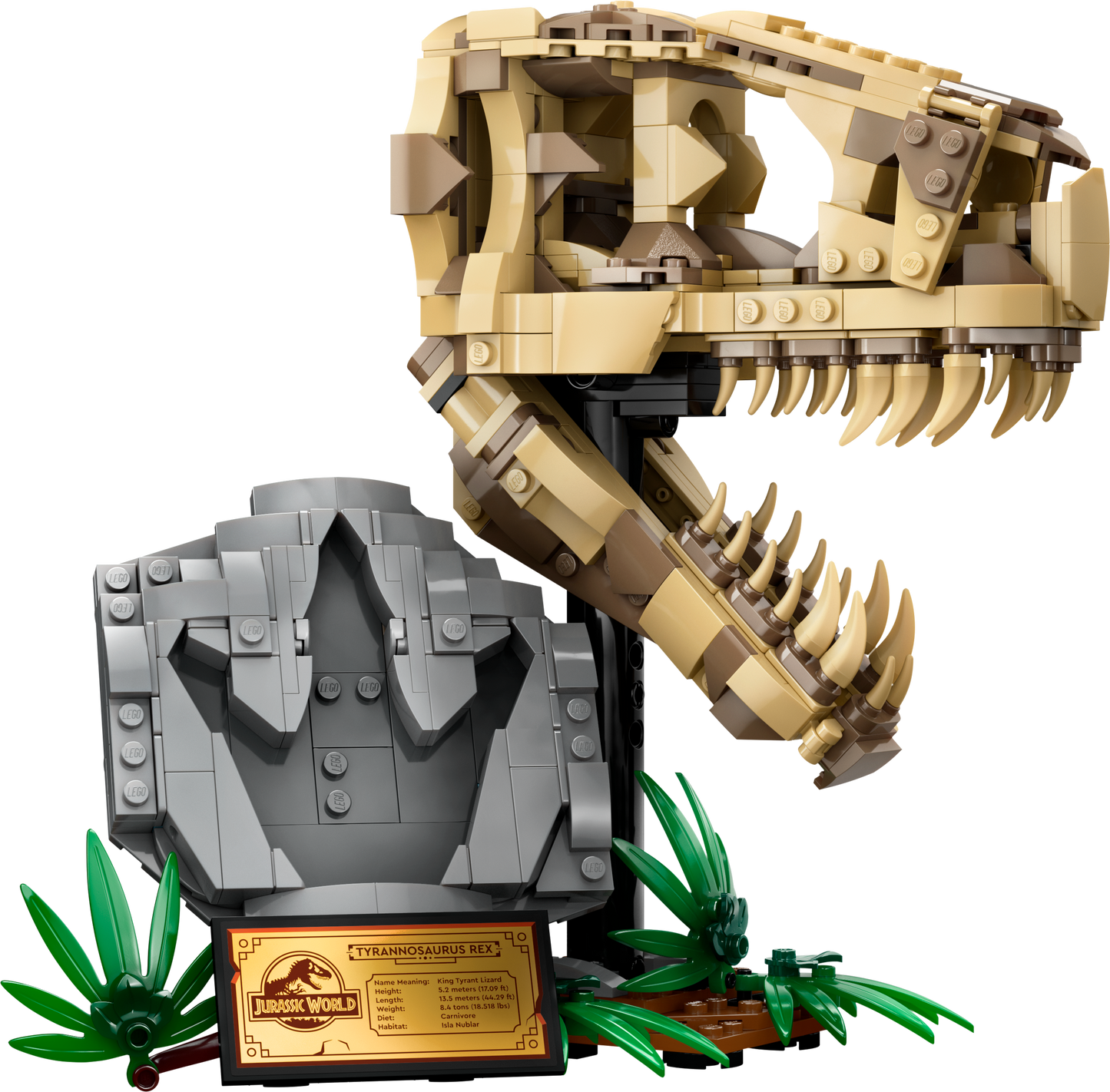 LEGO® Jurassic World 76964 Dinosaurier-Fossilien: T.-Rex-Kopf